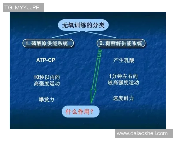 羽毛球战术解析：深入上海羽毛球队的训练与比赛策略探讨